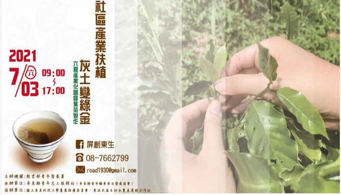 社區產業扶植-咖啡葉茶製作