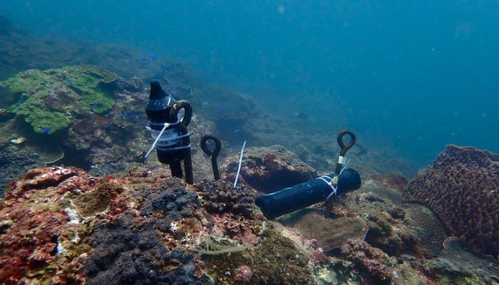 海域生態調查先期報告出爐 環境DNA檢測台灣海峽魚種230種最多