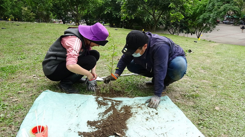 灌木以及草本植物同樣是構築生物多樣性的基底