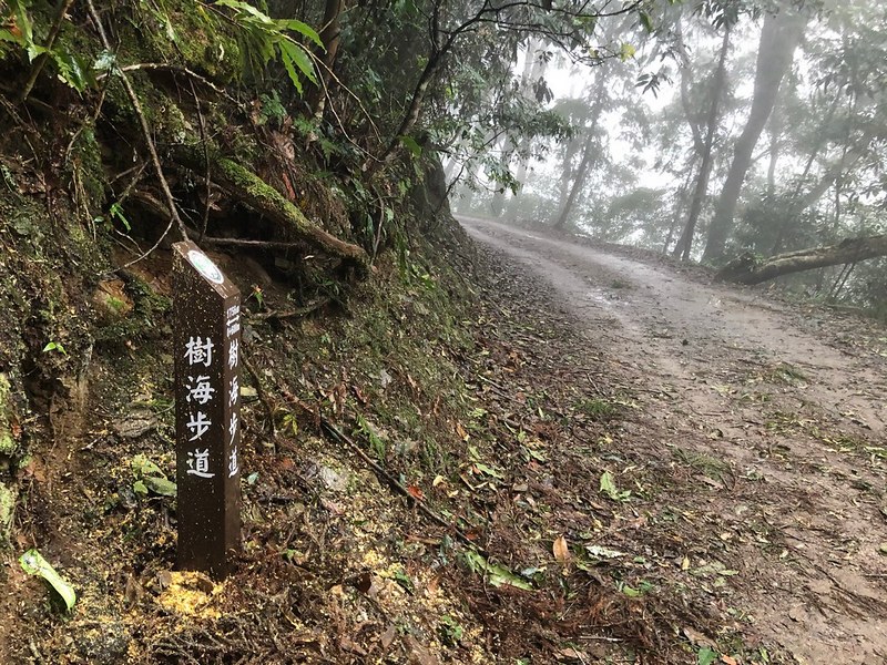 樹海步道指示牌。攝影：廖靜蕙