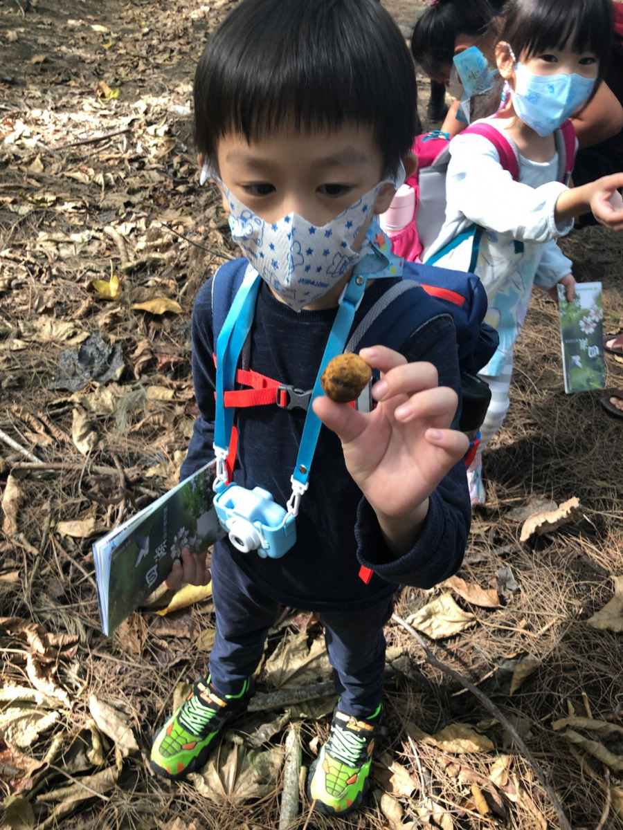 導覽走讀，認識濱海濕地生態、海岸植物保育與防風林的運作機制