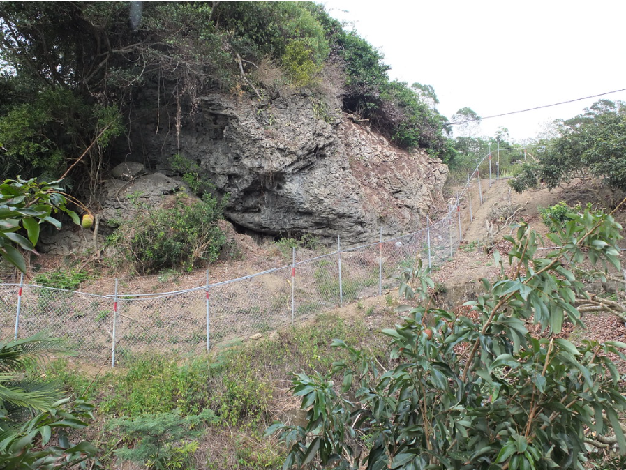 玉荷包果園常位於淺山坡地上或靠山的田區，如何有效架設電圍網也成為考驗