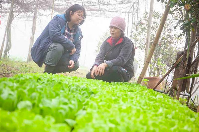 合作社產品部品保專員許雯華(左) 向農友了解葉菜類供貨的可能性。