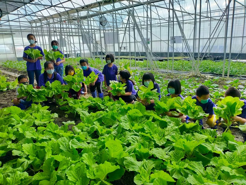 善導書院讓孩子們參與播種、種菜、照料，培養勞動習慣和基本農務技能。