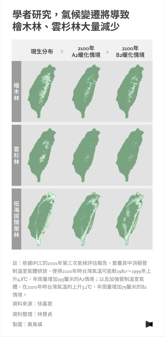 Page 1   學者研究，氣候變遷將導致 檜木林、雲杉林大量減少