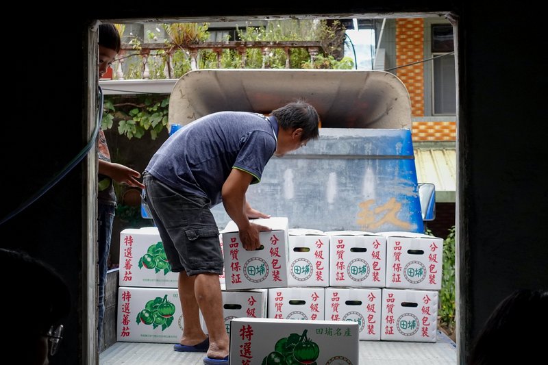 田埔生產合作社運作一段時間後，資助部落青年購買貨車，專職負責直送蕃茄到台北市第一果菜市場販售。（照片提供／林益仁）