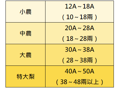 規格表