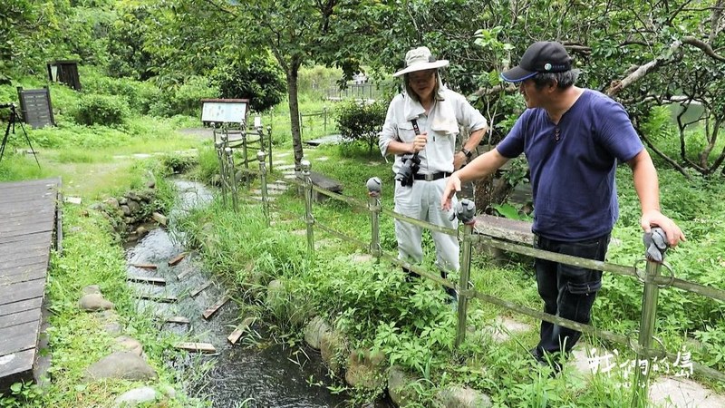 龍潭社區希望把鯝魚保護下來後，發展出地方特色生態觀光，來吸引遊客造訪，帶動社區發展。