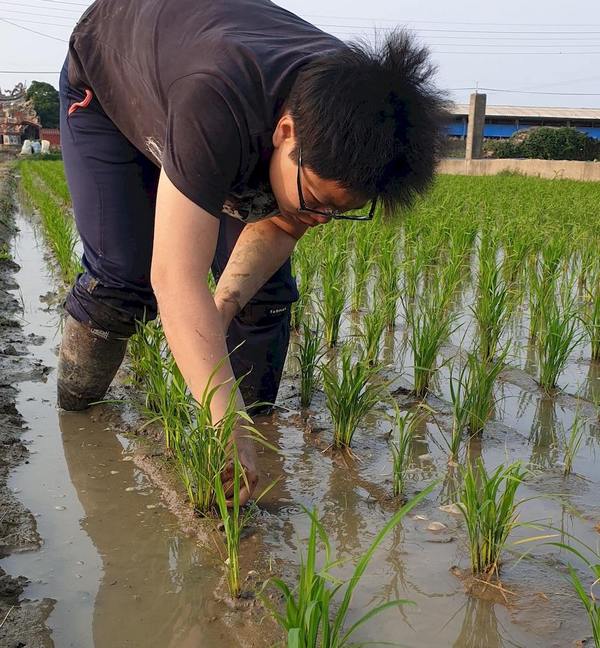 王怡力在走溝除草。