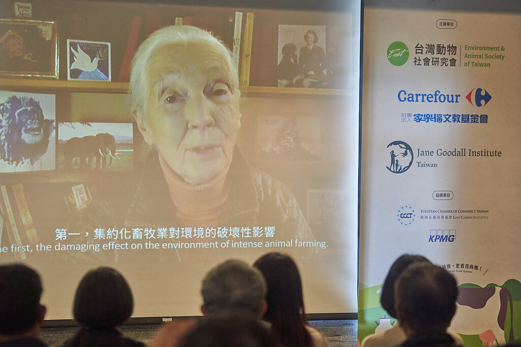 珍古德透過越洋連線，關心台灣動物福利推展狀況。圖片來源：動社提供