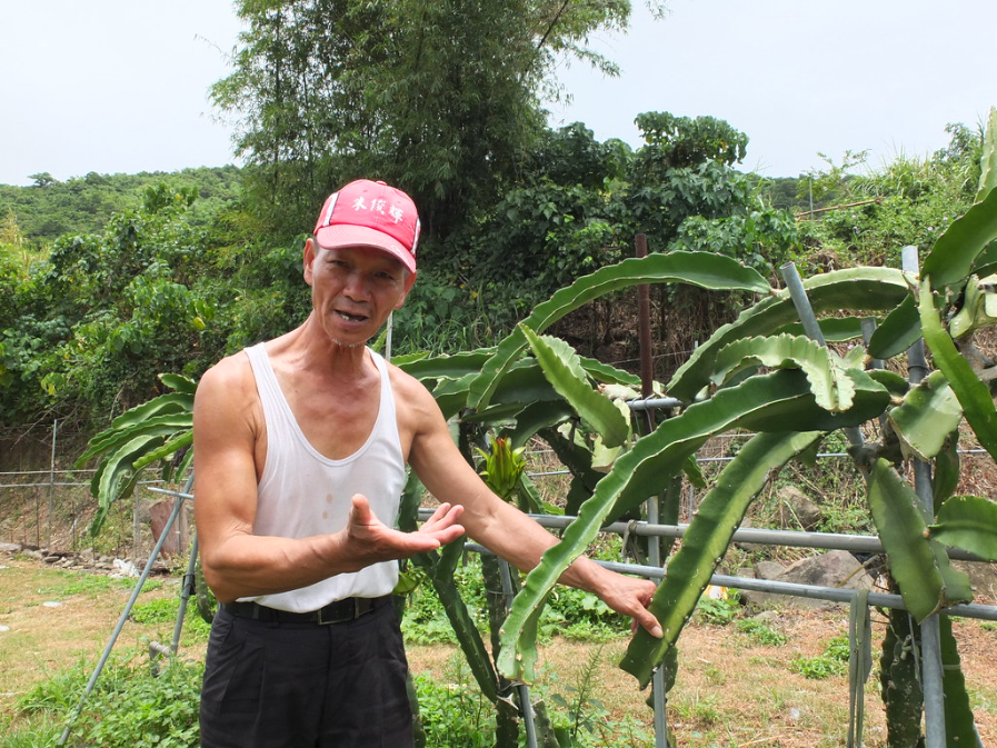 高協成在滿州經營飆沙車隊，並種植友善栽培火龍果，閒暇時也擔任社區解說員