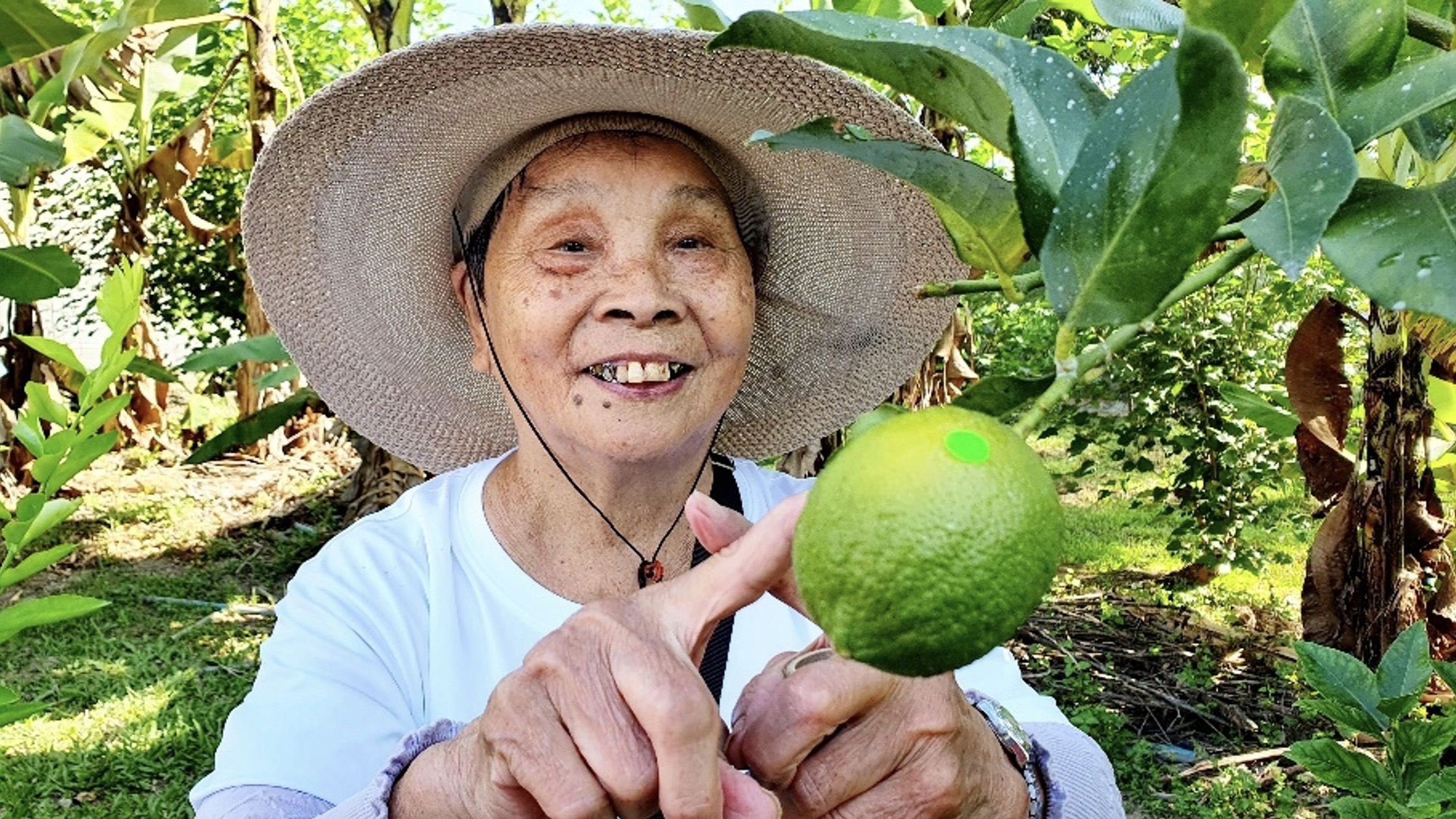 自己親手摘水果，親手去體驗這邊的檸檬、金棗這些農作物。