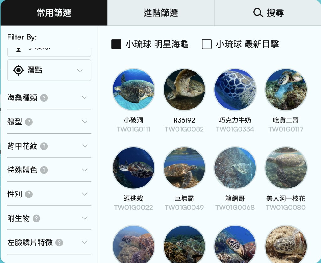 除了以潛點作為分類以外，也加入更多海龜的細節特徵，例如海龜種類、體型、背甲花紋、特殊體色及臉部鱗片等。圖片來源：擷取自海龜戶口名簿網站