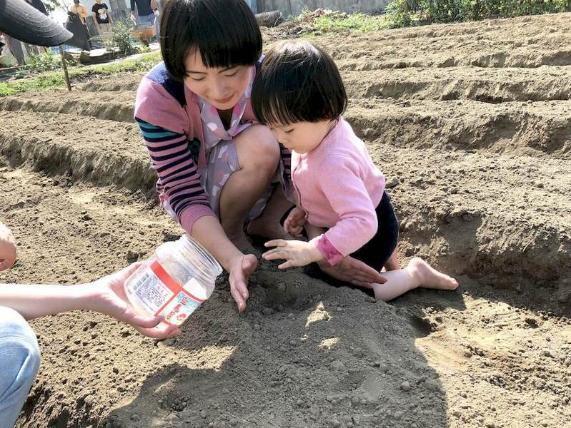 第一年親子共耕，扶桑和小森一起種下黃豆。