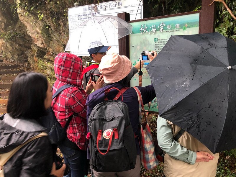 屏東林管處期待透過藤枝開園，創造生態生計、遊客與在地居民多贏局面。攝影：廖靜蕙