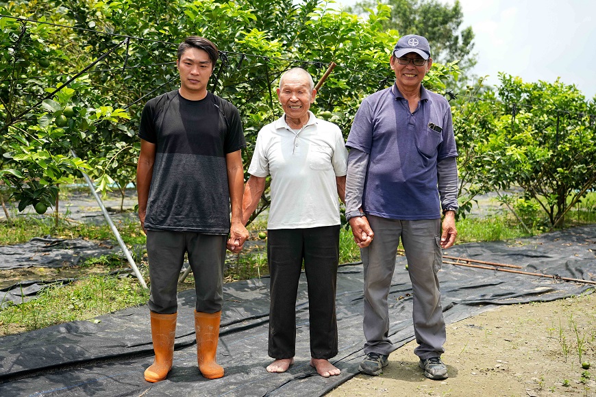 農有小檔案 / 陳家四季檸檬果園